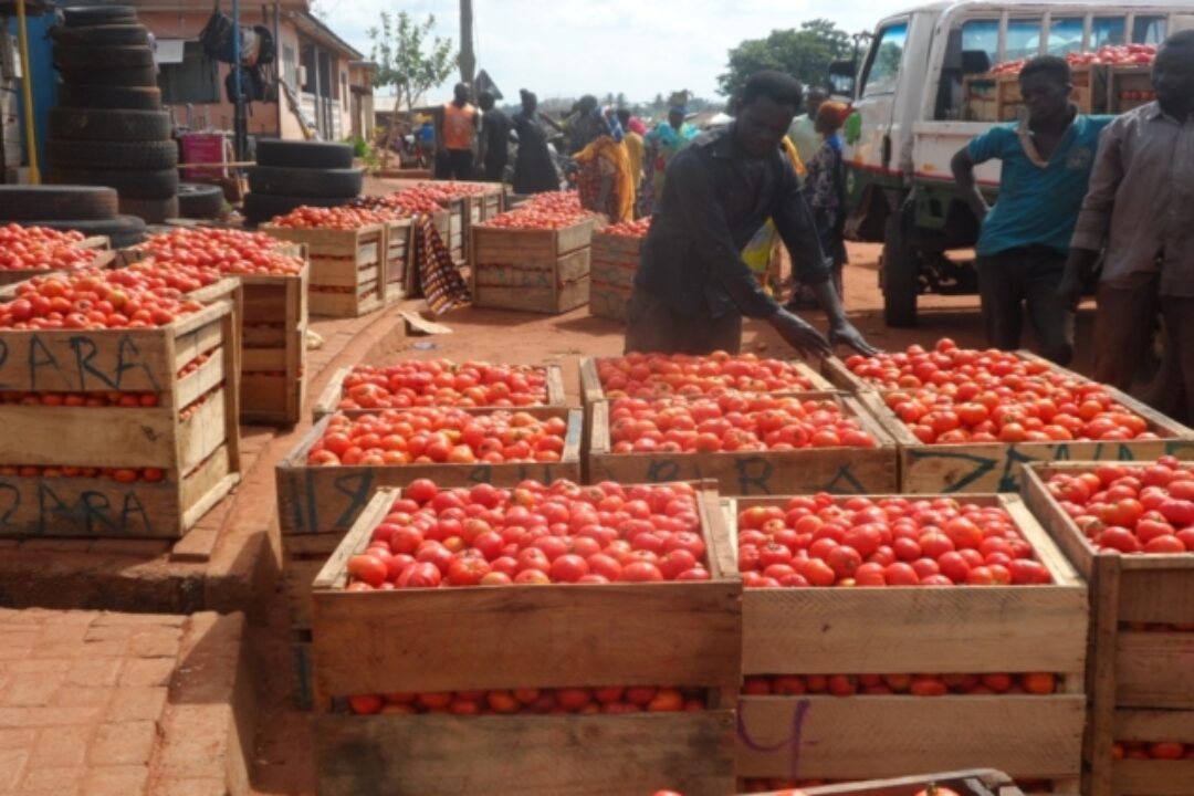 Tomato shortage looms in Ghana…as Burkina Faso bans exports