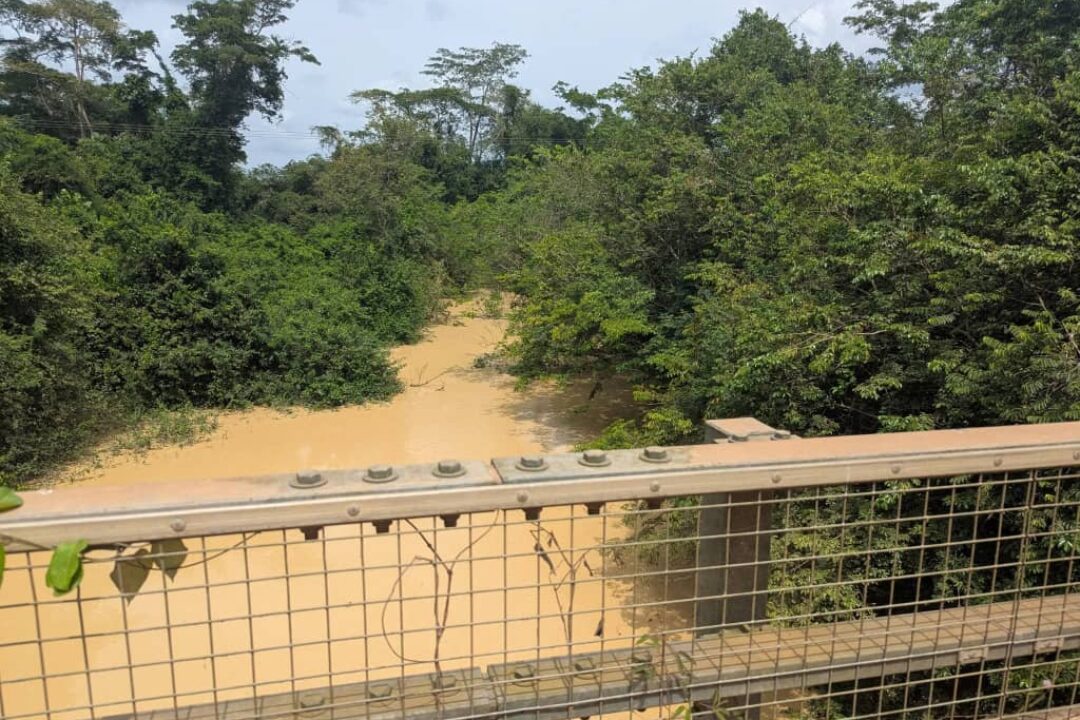 GALAMSEY HAS WON