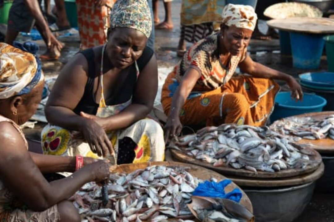 Net Loss: The Hidden Cost of Protecting Ghana’s Oceans