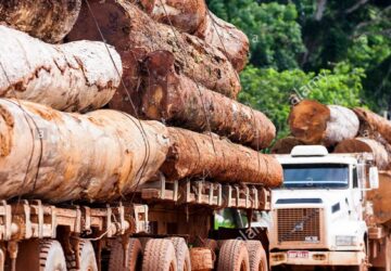 Spotlight on Ghana’s robust timber-harvesting regulatory system towards preservation of our forests