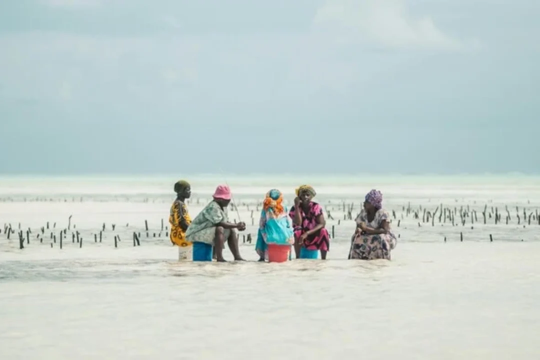 EJN Fellowship supports 6 Journalists to attend Our Ocean Conference 2026 in Mombasa, Kenya