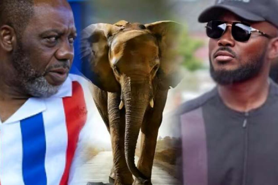 Bawumia’s 2028 running mate: Evil plots & secret meetings against Napo exposed