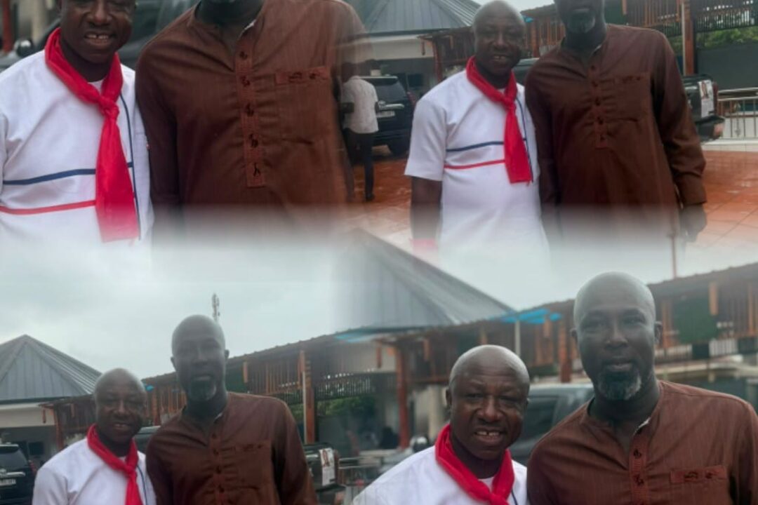 ASHANTI NPP SECRETARY RACE:PROF. OTCHERE ADDAI-MENSAH ENDORSES FRANCOIS