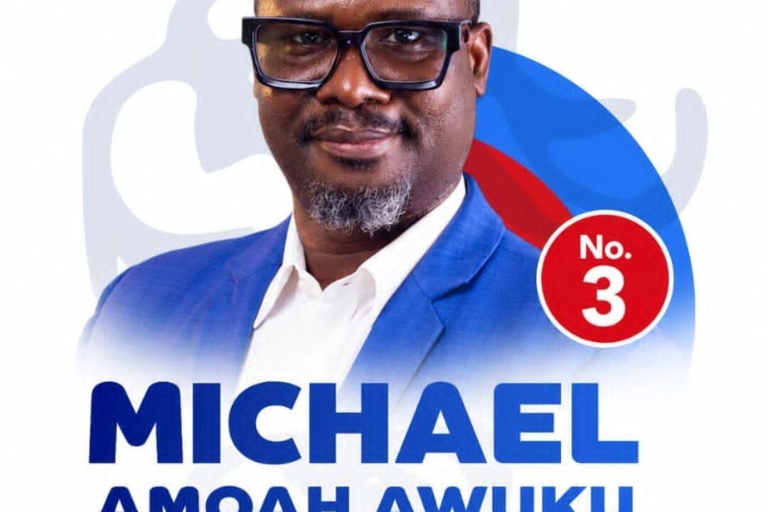 Vote for me as your next Ashanti regional secretary & I’ll not disappoint you – Awuku Amoah to NPP delegates