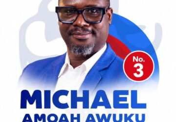 Vote for me as your next Ashanti regional secretary & I’ll not disappoint you – Awuku Amoah to NPP delegates