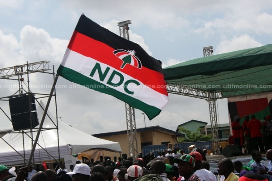 Govt appointees must resign to contest executive race-NDC insists