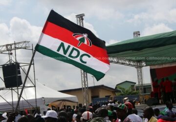 Govt appointees must resign to contest executive race-NDC insists