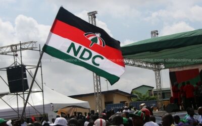 Govt appointees must resign to contest executive race-NDC insists