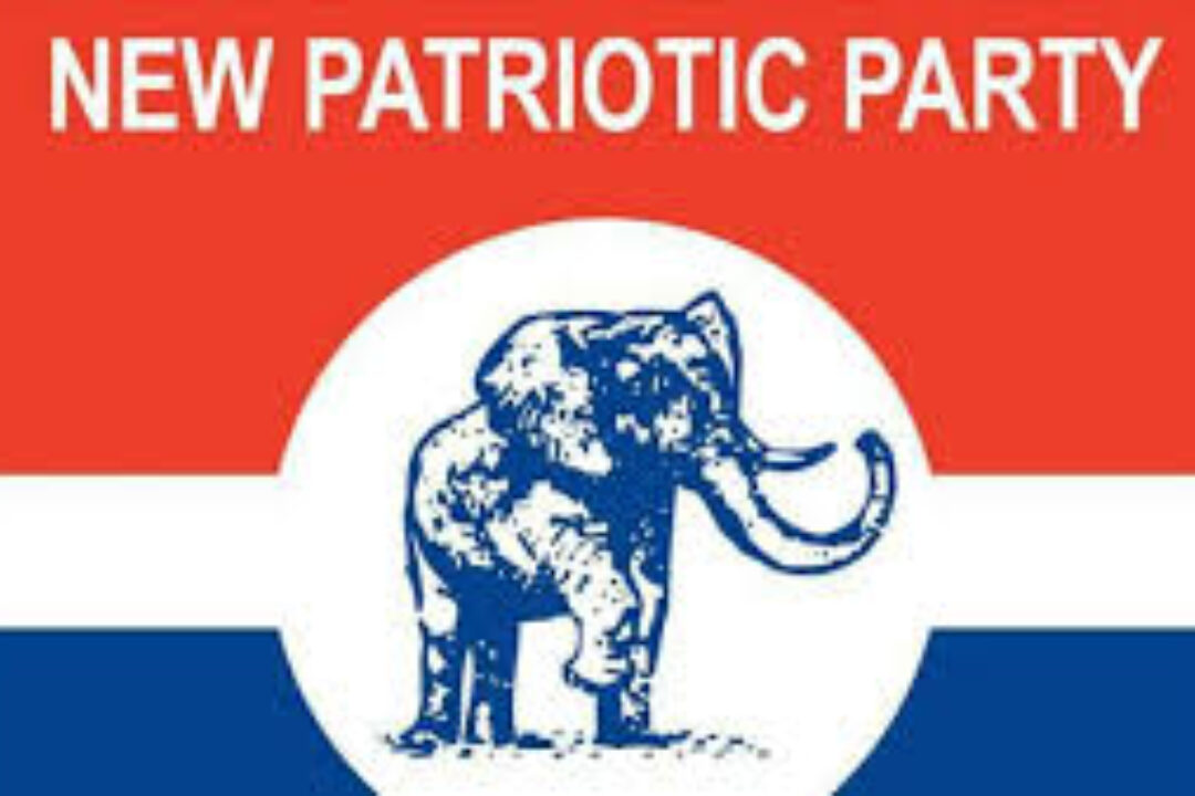 NPP Spain branch executives election marred by boycott… as Chapter Chairmen demand nullification