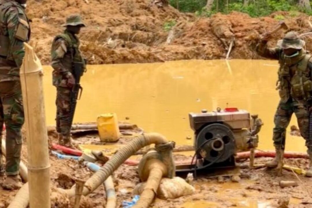 Lands & Natural Resources Minister: 8,900 hectares of forest reserves lost, 258 arrested &4,000 excavators held at ports