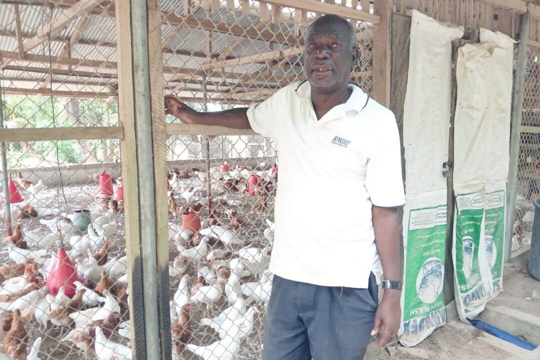 CEO of Senya Farms calls for urgent review of National Farmer’s Day