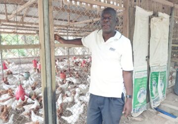 CEO of Senya Farms calls for urgent review of National Farmer’s Day