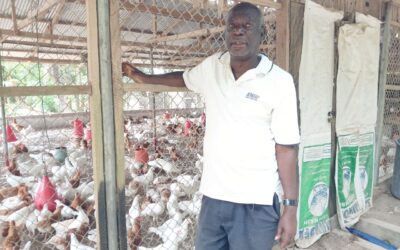CEO of Senya Farms calls for urgent review of National Farmer’s Day