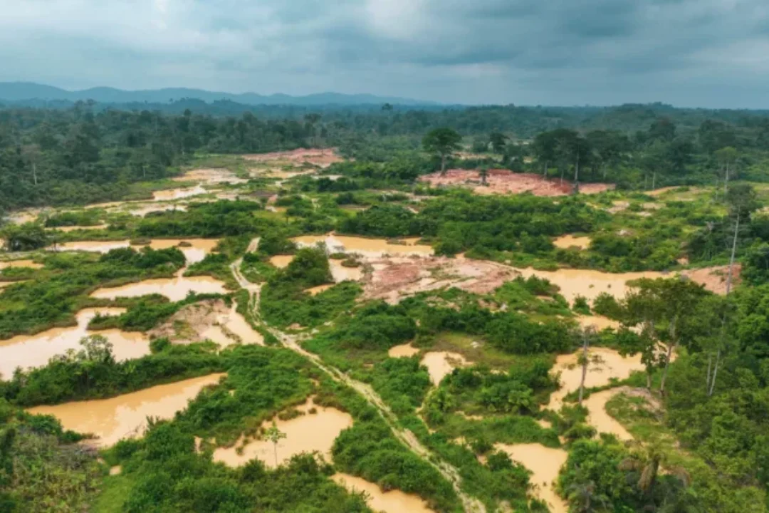Galamsey is taking back our forests – Erastus Asare Donkor warns gains are being lost