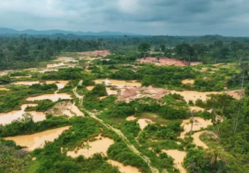 Galamsey is taking back our forests – Erastus Asare Donkor warns gains are being lost