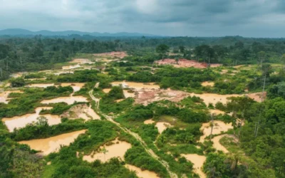 Galamsey is taking back our forests – Erastus Asare Donkor warns gains are being lost