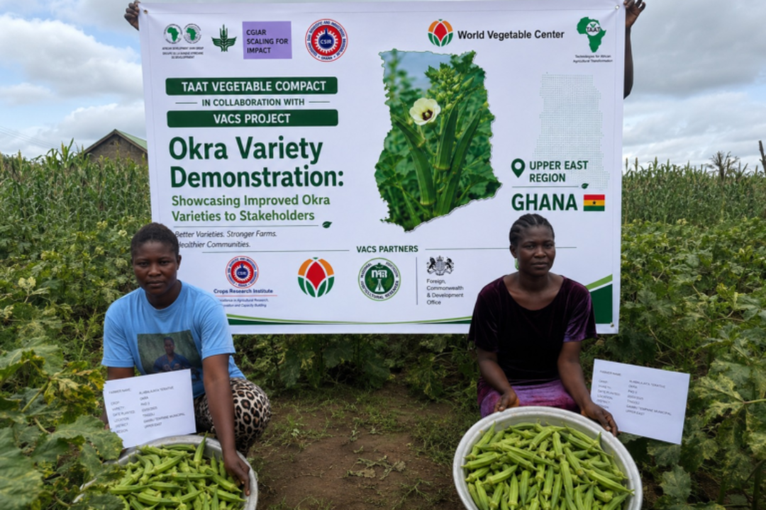 CSIR-CRI COMMISSIONS NEW SCREENHOUSE & IRRIGATION FACILITY TO STRENGTHEN SEED PRODUCTION UNDER VACS -BREEDING: OKRA