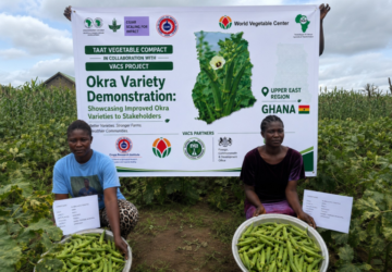 CSIR-CRI COMMISSIONS NEW SCREENHOUSE & IRRIGATION FACILITY TO STRENGTHEN SEED PRODUCTION UNDER VACS -BREEDING: OKRA