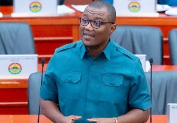Dr.Ayew Afriye takes on NIB over invitation of Efya Royal in ‘Ghana Jollof’ probe