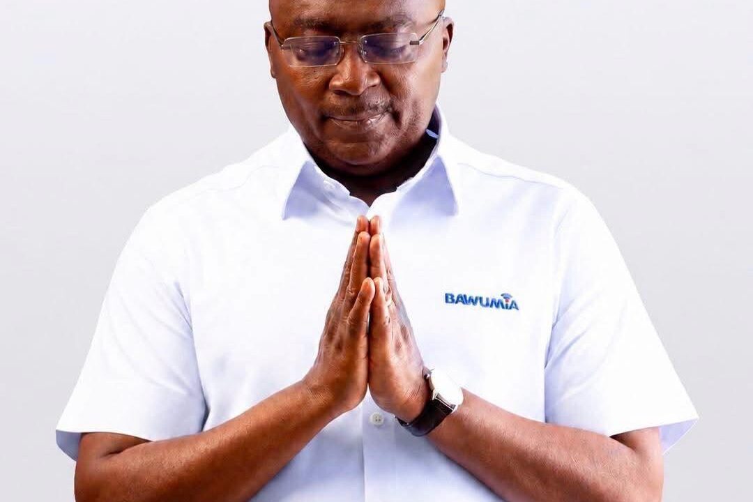 Making presidential candidate leader of NPP amendment proposal receives massive support
