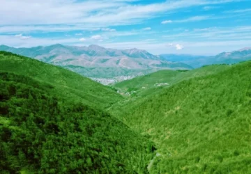 EJN Fellowship supports 17 Journalists to cover  UN Biodiversity Conference COP17 in Yerevan, Armenia