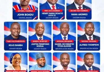 Spotlight on all newly elected NPP national executives