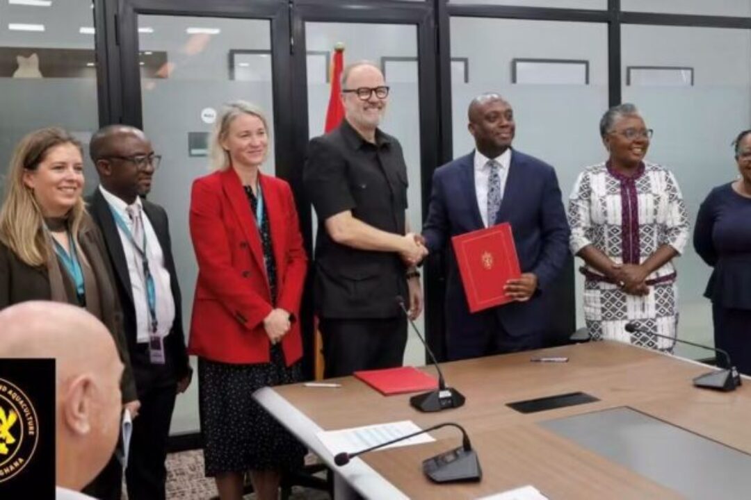 Ghana to address persistent Fisheries & Oceans data deficit through Oceans for Development Programme – Emelia Arthur reveals