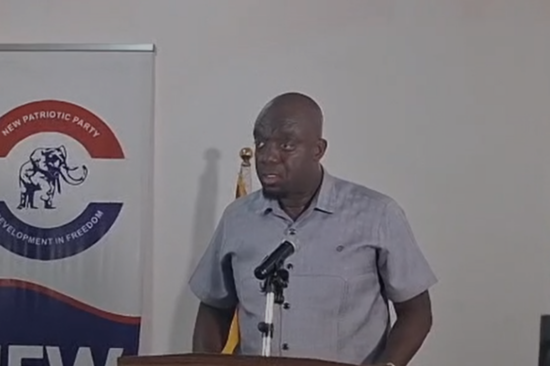 NPP introduces early eligibility checks for 2028 parliamentary candidate hopefuls