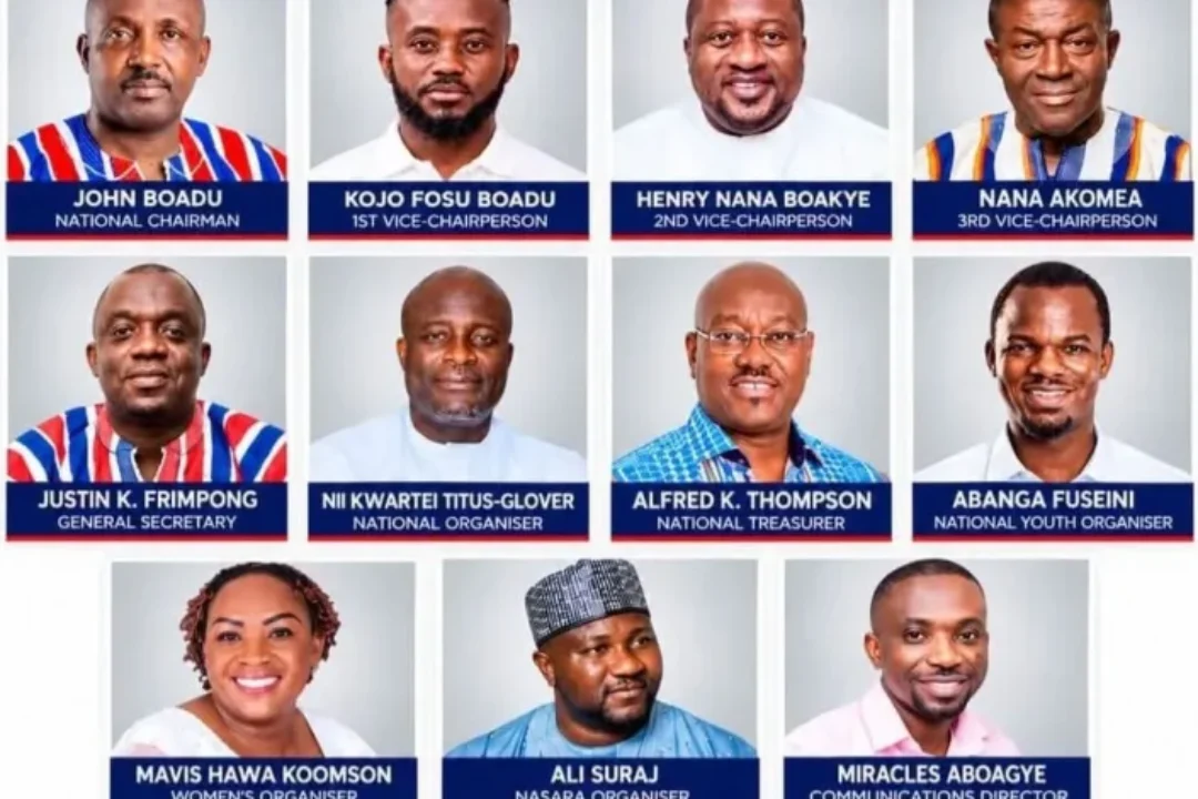 Spotlight on all newly elected NPP national executives