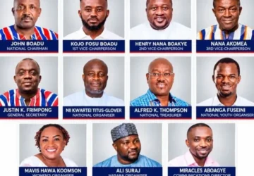 Spotlight on all newly elected NPP national executives